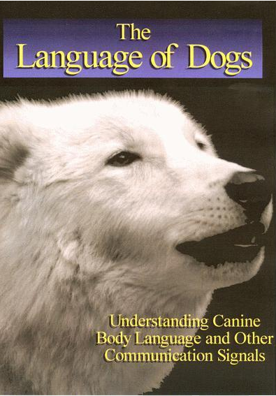 dogs language